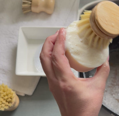 Solid Dish Soap Bars